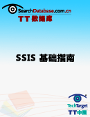 SQL Server Integration Services（SSIS）基础指南