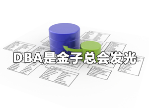 Oracle专家：DBA是金子总会发光 
