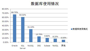 软件项目